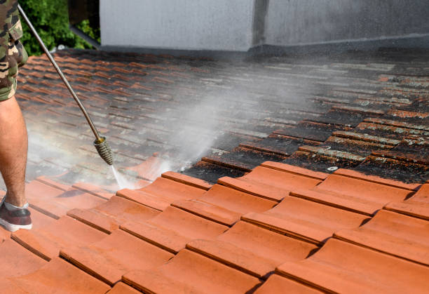Best Commercial Pressure Washing  in Wills Point, TX