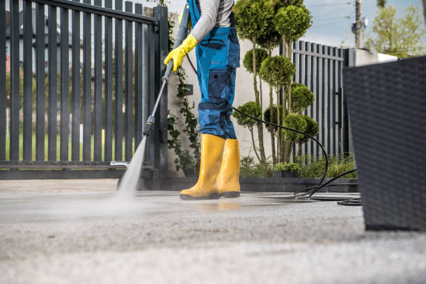 Best Deck Pressure Washing  in Wills Point, TX