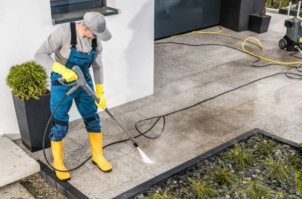 Best Local Pressure Washing Services  in Wills Point, TX