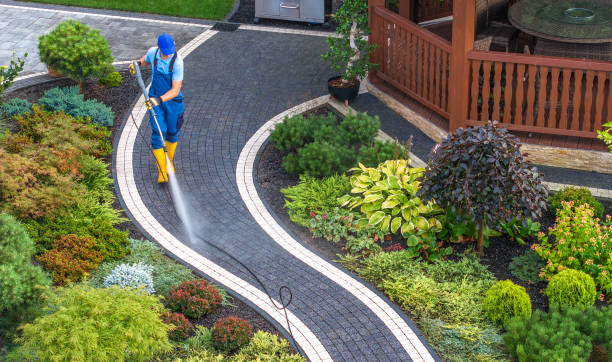 Best Best Pressure Washing Companies  in Wills Point, TX