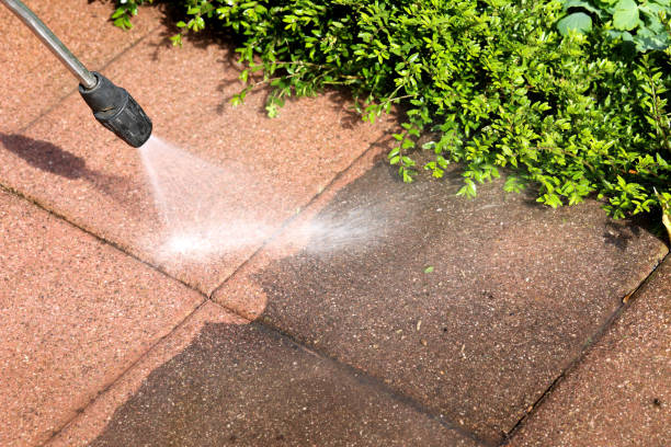 Best Affordable Pressure Washing  in Wills Point, TX